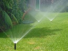 Servicio de Jardinería